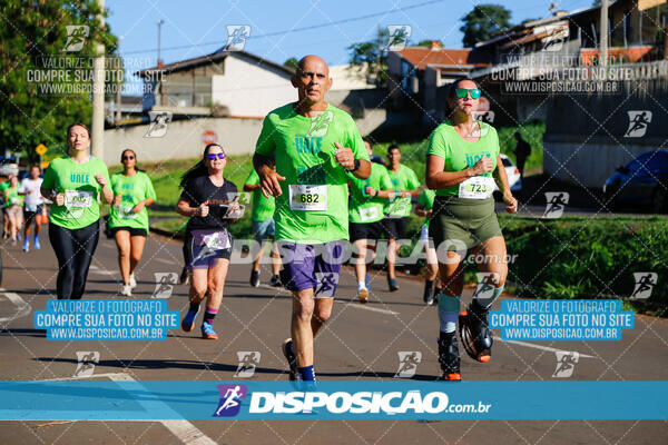 Vale Verde Run 2024