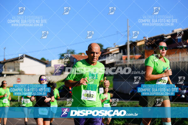 Vale Verde Run 2024