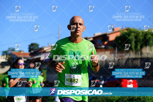 Vale Verde Run 2024