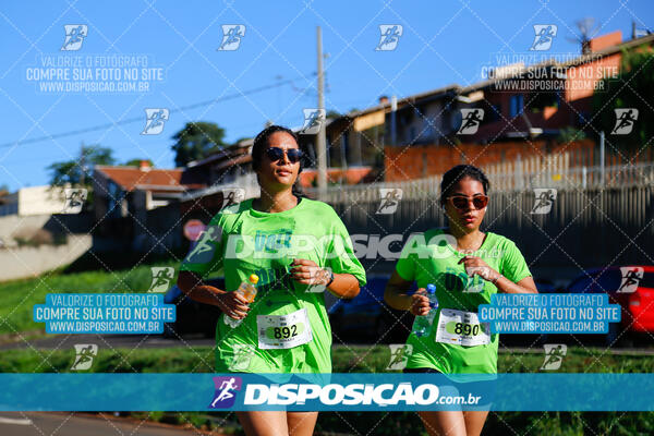 Vale Verde Run 2024