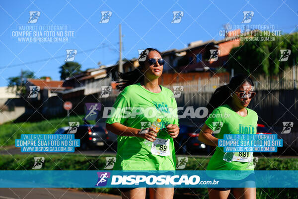 Vale Verde Run 2024