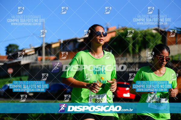 Vale Verde Run 2024