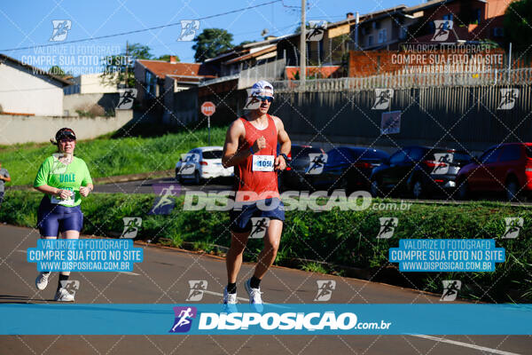 Vale Verde Run 2024