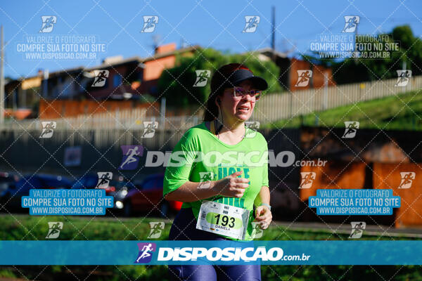 Vale Verde Run 2024