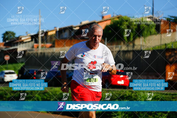 Vale Verde Run 2024