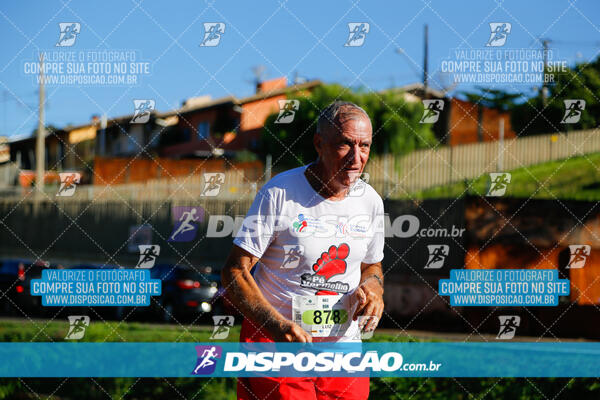 Vale Verde Run 2024