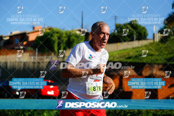 Vale Verde Run 2024