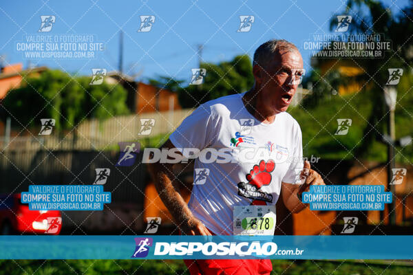 Vale Verde Run 2024