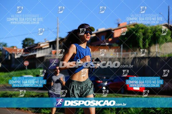 Vale Verde Run 2024