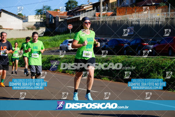 Vale Verde Run 2024