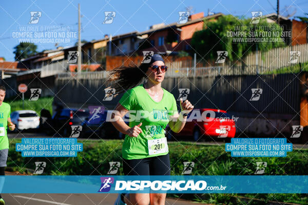 Vale Verde Run 2024