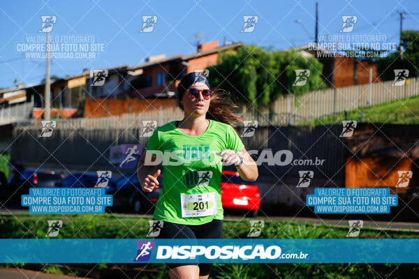 Vale Verde Run 2024