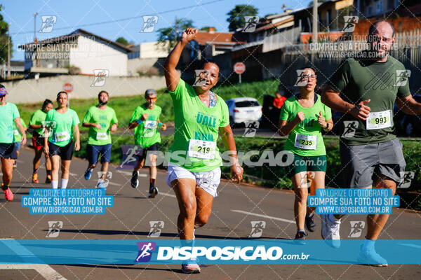 Vale Verde Run 2024