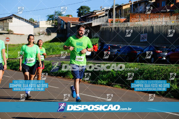 Vale Verde Run 2024