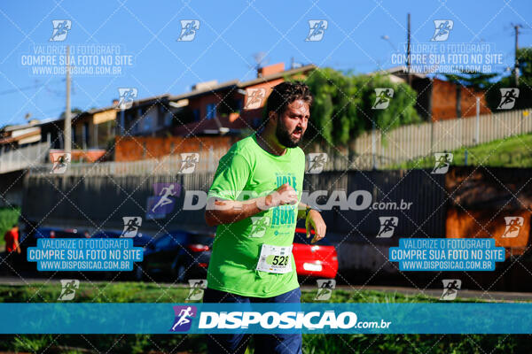 Vale Verde Run 2024