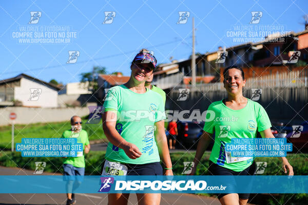 Vale Verde Run 2024