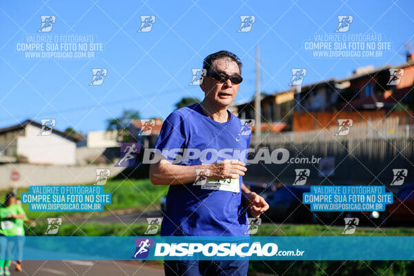 Vale Verde Run 2024