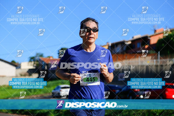 Vale Verde Run 2024