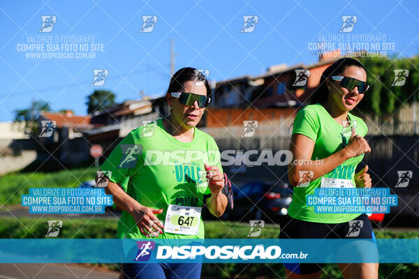 Vale Verde Run 2024