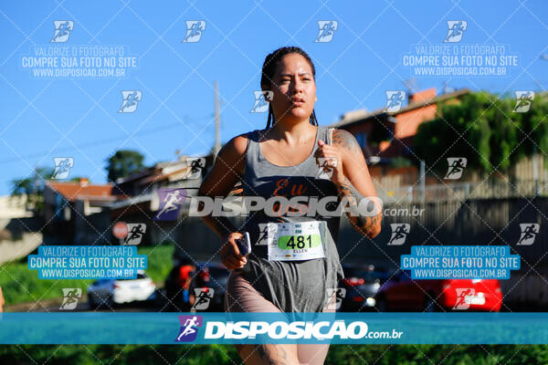 Vale Verde Run 2024