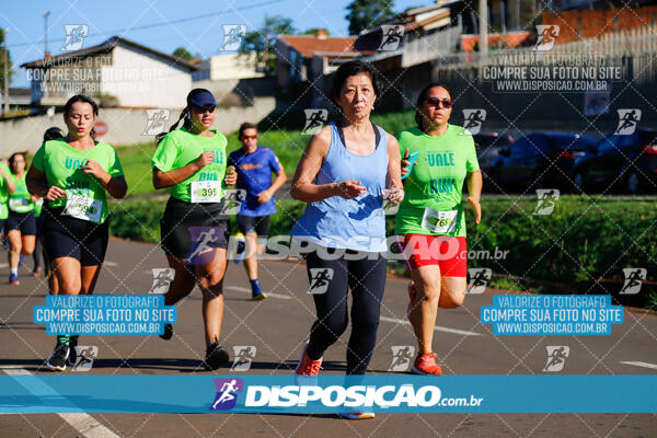 Vale Verde Run 2024