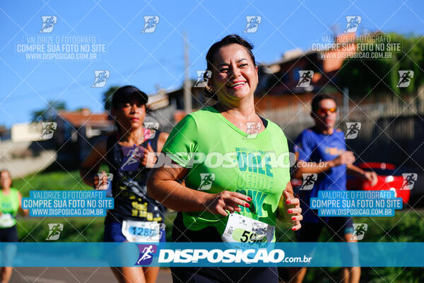 Vale Verde Run 2024