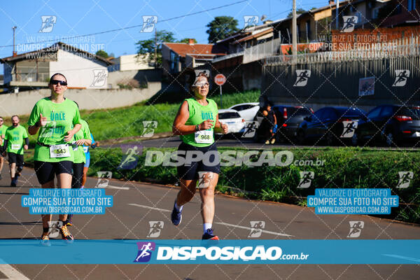 Vale Verde Run 2024