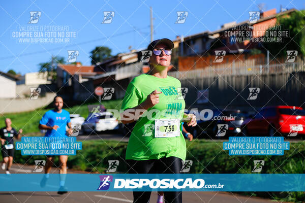 Vale Verde Run 2024