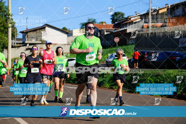 Vale Verde Run 2024