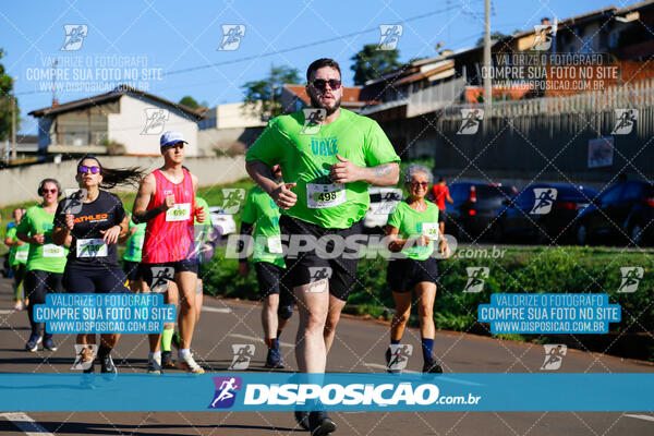 Vale Verde Run 2024