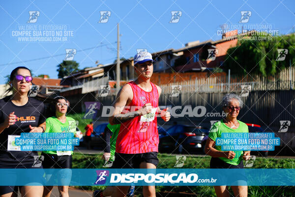 Vale Verde Run 2024