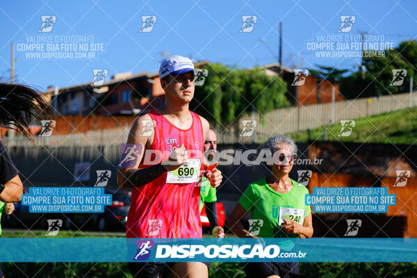 Vale Verde Run 2024