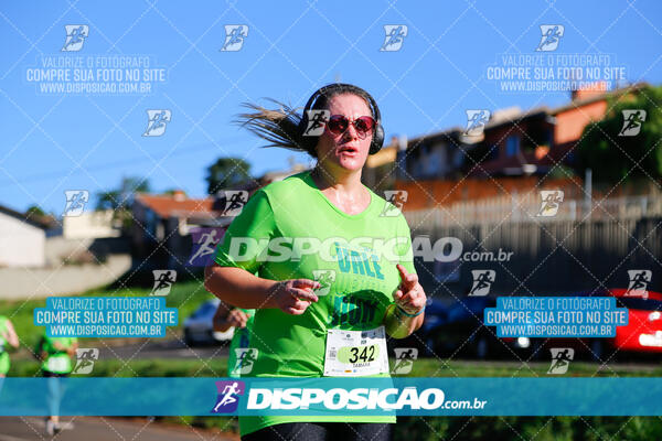 Vale Verde Run 2024