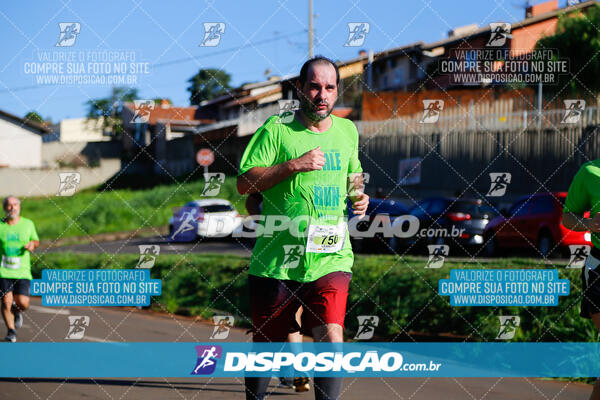 Vale Verde Run 2024