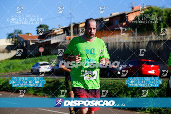 Vale Verde Run 2024