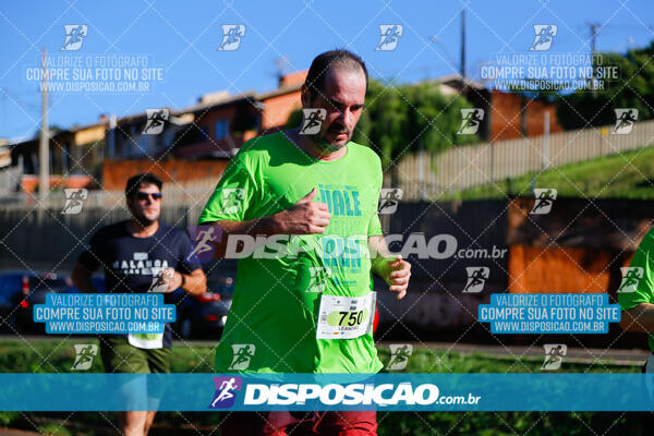 Vale Verde Run 2024