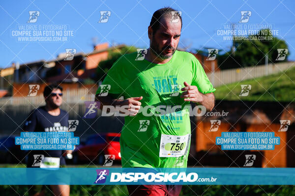 Vale Verde Run 2024