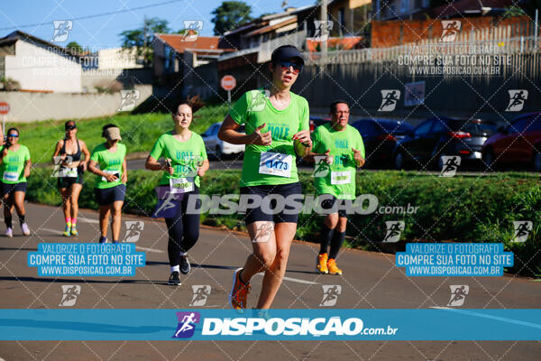 Vale Verde Run 2024