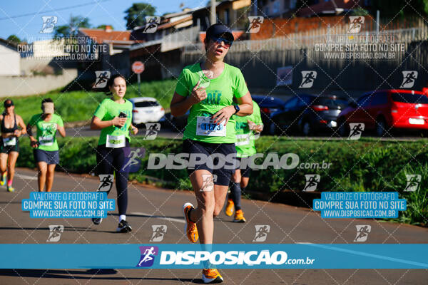 Vale Verde Run 2024