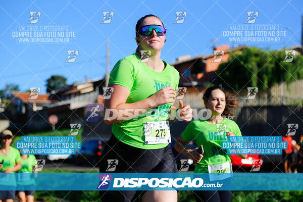 Vale Verde Run 2024