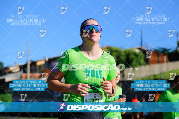 Vale Verde Run 2024