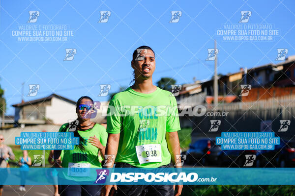 Vale Verde Run 2024