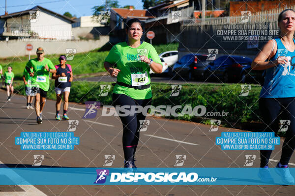 Vale Verde Run 2024