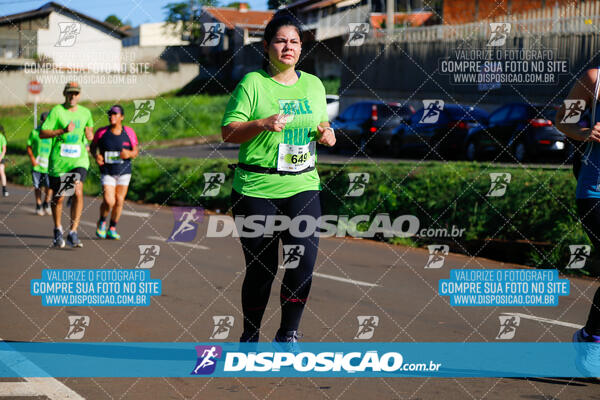 Vale Verde Run 2024