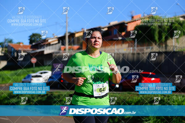 Vale Verde Run 2024