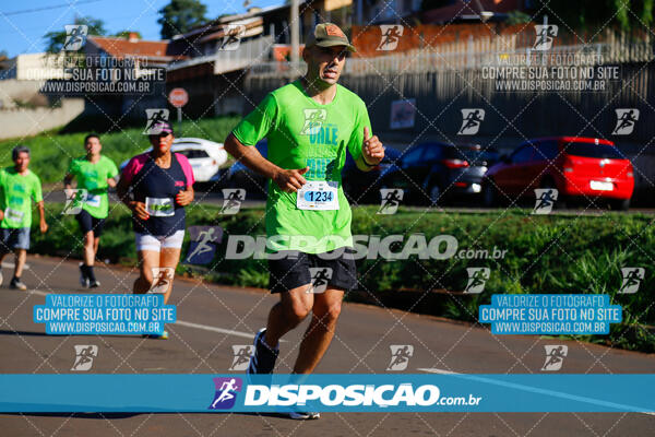 Vale Verde Run 2024