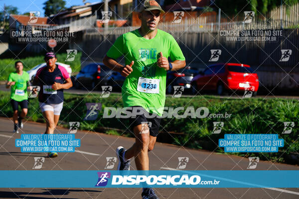 Vale Verde Run 2024