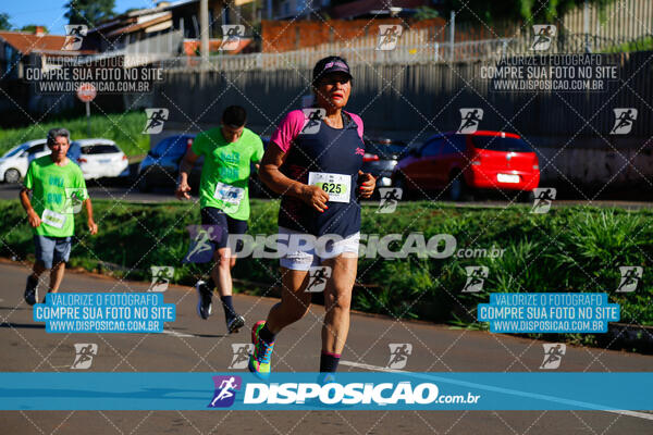 Vale Verde Run 2024