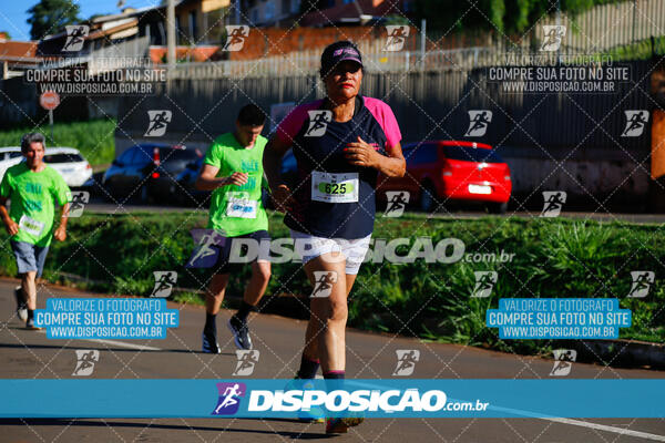 Vale Verde Run 2024