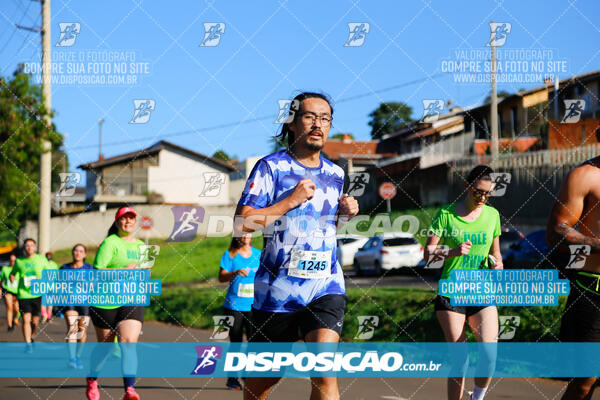 Vale Verde Run 2024